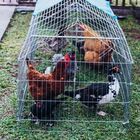 Gaiola Petshop Portátil Desmontavel Canil Gatil Galinheiro