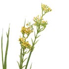 Galho De Capim Com Flor 67Cm