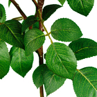 GALHO DE ROSAS X3 PÊSSEGO - 75CM