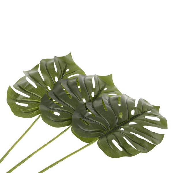 Galho Folha De Costela De Adão Grande 62 Cm