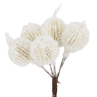 Galho Material Branco Cromus 12x8,3cm