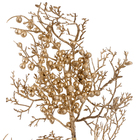 Galho para Árvore Plástico Metal Papel Ouro 60x25x3cm Cromus