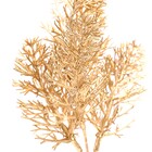 Galho para Árvore Plástico Ouro 26x10x6cm Cromus