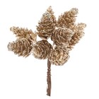 Galho Pinhas Champanhe 8x11x12cm Cromus