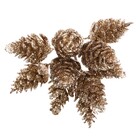 Galho Pinhas Champanhe 8x11x12cm Cromus