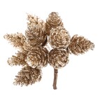 Galho Pinhas Champanhe 8x11x12cm Cromus