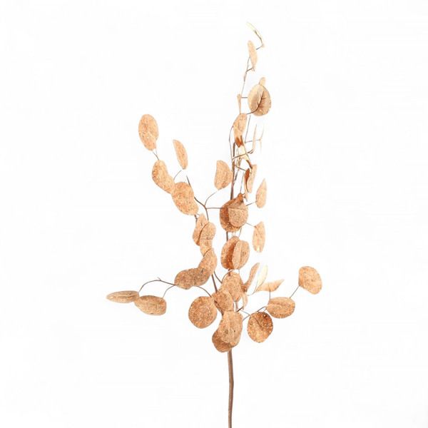 Galho Plástico e Metal Marrom Cromus 73x30cm