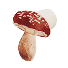 Gancho Aço 6,3x5,5x3,7cm Cogumelo Geguton