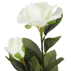 Gardenia 65 cm