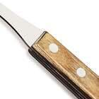 Garfo Trinchante Inox Marrom 3cm Tramontina