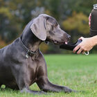 Garrafa Bebedouro Portátil Emborrachada Preta 740 Ml