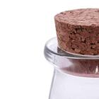 Garrafa De Vidro Borossilicato C/ Rolha 100 Ml Lyor