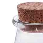 Garrafa De Vidro Borossilicato C/ Rolha 100 Ml Lyor