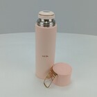 Garrafa Térmica De Inox 550ml Parede Dupla Para Água Suco