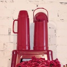 Garrafa Térmica De Pressão Nobile 1 Litro Framboesa Mor