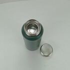 Garrafa Térmica Esportiva Academia Em Aço Inox Verde 500ml