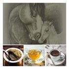 Garrafa Térmica Magic Pump Cavalos 1 8 Litros Com Bomba De Pr