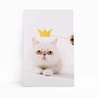 Gato Peludo Branco Coroa Pets Animais Quadro Canvas 140x90cm