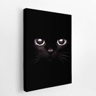 Gato Preto Foto Minimalista Animais Quadro Canvas 140x90cm
