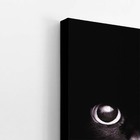 Gato Preto Foto Minimalista Animais Quadro Canvas 60x40cm