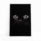 Gato Preto Foto Minimalista Animais Quadro Canvas 60x40cm