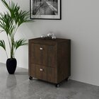 Gaveteiro 2 Gavetas Com 1 Gaveta Para Pasta Suspensa Me4112