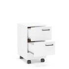 Gaveteiro 2 Gavetas Com Rodízios Osaka