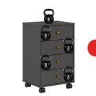 Gaveteiro 4 Gavetas Presence  Amêndola/grafito