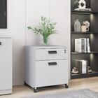 Gaveteiro Com 2 Gavetas Raichu Platina