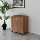 Gaveteiro Para Pasta Suspensa Multimóveis Vcr25022