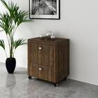 Gaveteiro Para Pasta Suspensa Multimóveis Vcr25022