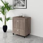 Gaveteiro Para Pasta Suspensa Multimóveis Vcr25022