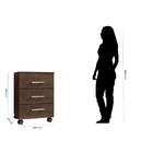 Gaveteiro Petrópolis Com Rodinhas Organizador Escritório - Av