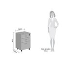 Gaveteiro Volante 02 Gavetas E 01 Gaveta Pasta New City