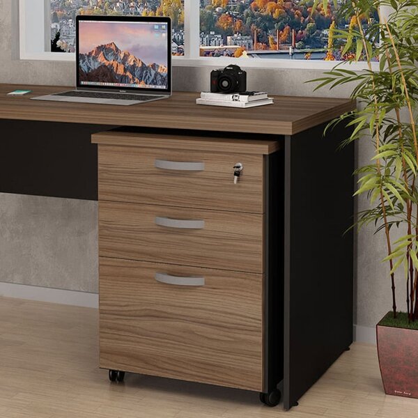 Gaveteiro Volante Para Escritório 2 Gavetas E Gaveta Para Pas