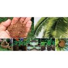 Gel Para Baratas Termimax  Profissional 10g