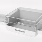 Geladeira Brastemp Frost Free Duplex 375 Litros Com Compartim