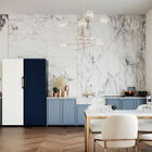 Geladeira Ou Freezer Flex Samsung Bespoke 315l 1 Porta 220v