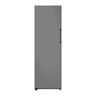 Geladeira Ou Freezer Flex Samsung Bespoke 315l 1 Porta Saint