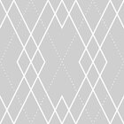 Geométrico V - Papel De Parede - 250