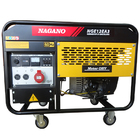 Gerador De Energia A Gasolina 11.5 Kva Refrigerado A Ar 110/2