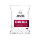 Gesso em P Rpido 1kg Argos