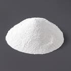 Gesso em P Secagem Lenta 1Kg Juntalider