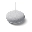 Google Nest Mini Giz