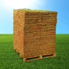 Grama Natural Esmeralda 62,5X40cm Itograss