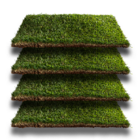 Grama Natural Esmeralda 62,5X40cm Itograss