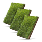 Grama Natural Esmeralda 62,5X40cm Itograss