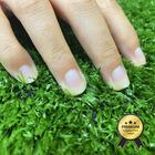 Grama Noronha 15mm Standard  Decor (1m²)-2m De Largura