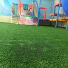 Grama Noronha Decor Standard 10mm (10m²)