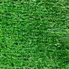 Grama Noronha Decor Standard 10mm (5m²)